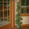 National Tree Company 44" Pre-Lit Boxwood Spiral Topiary: LED, Battery-Operated, Indoor/Outdoor - 2 of 4