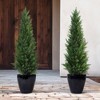 3-5FT Artificial Cedar Topiary Trees for Indoor and Outdoor UV Protection Fake Trees for Home Decor Set of 2 - 2 of 4
