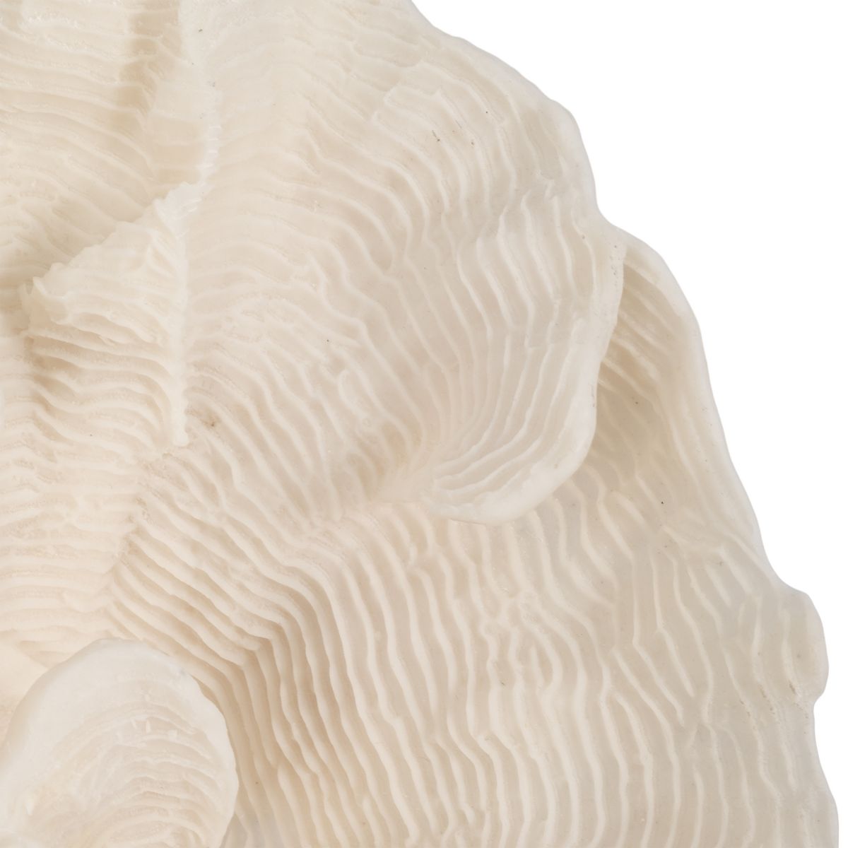 Decorative Coral Inspired Sculpture for Home, Bathroom and Living Room Decor - Coastal Resin Ornaments for Shelf and Office Display - 6", Ivory & Tan - thumbnail 10