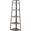 Acekool 5-Tier Corner Shelf, Space-Saving Storage Rack with Rounded Edges, Metal Frame for Living Room Bedroom Kitchen Balcony, Easy Assembly - 3 of 4
