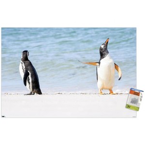 Trends International The Comedy Wildlife Photography Awards: Jennifer Hadley - Talk To The Fin Unframed Wall Poster Prints - 1 of 4
