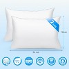 HEYCUZI Goose Feather Down Pillows - Hotel Soft Bed Pillows Queen Size Set of 2 for Sleeping, 100% Cotton Cover Fluffy Support Gusseted Pillow White - 4 of 4