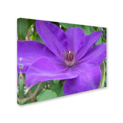 Trademark Fine Art -monica Fleet 'purple Flower' Canvas Art : Target