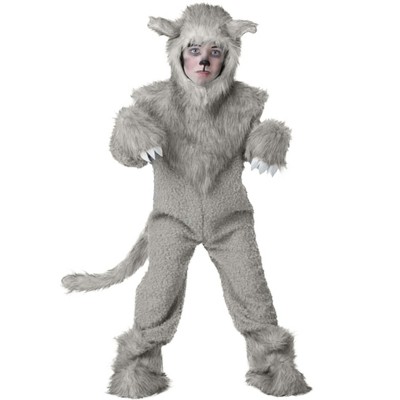 Halloweencostumes.com Small Kids Wolf Costume, Gray : Target