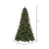 Vickerman Artificial Douglas Fir Christmas Tree - 3 of 4