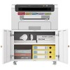 NicBex 2-Door File Cabinet with Lock Mobile Storage Cabinet Mobile Under Desk Storage Filing Cabinet for Home, Office - 2 of 4
