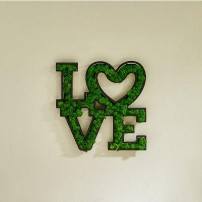 PAGED Eco-Friendly Preserved Moss Metal Wall Art, Wrought Iron Frame Wall Decor, Dynamic Letter Arrangement Framed Wall Art for Living Room