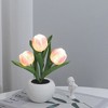Led Table Lights,Led Simulation Tulip Night Light with Vase,Table Lamp Ornaments for Home Living Room Desktop Decor for Home Table Centerpieces - 4 of 4