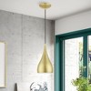 Livex Lighting Amador 1 - Light Pendant in  Soft Gold/Polished Brass - 4 of 4