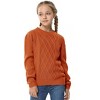 BLUEMING Girls Long Sleeve Cable Knit Sweater Crew Neck Pullover Sweaters Kids Casual Fall Jumper Tops for Autumn Adventures - 2 of 4