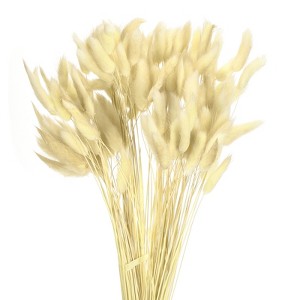 Unique Bargains Decorative Natural Dried Floral Bunny Tail Artificial Plants 120 Pcs - 1 of 4