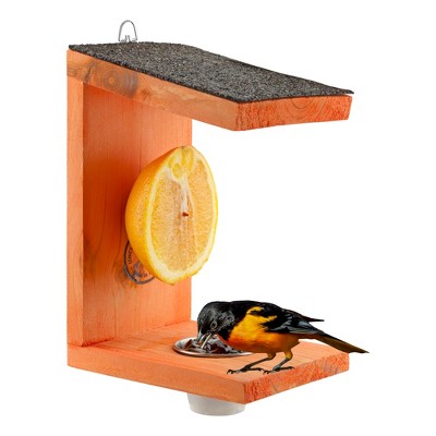 Uncle Dunkels Oriole Bird Feeder; 2-Way Feeder for Jelly and Oranges, Handmade in Kentucky