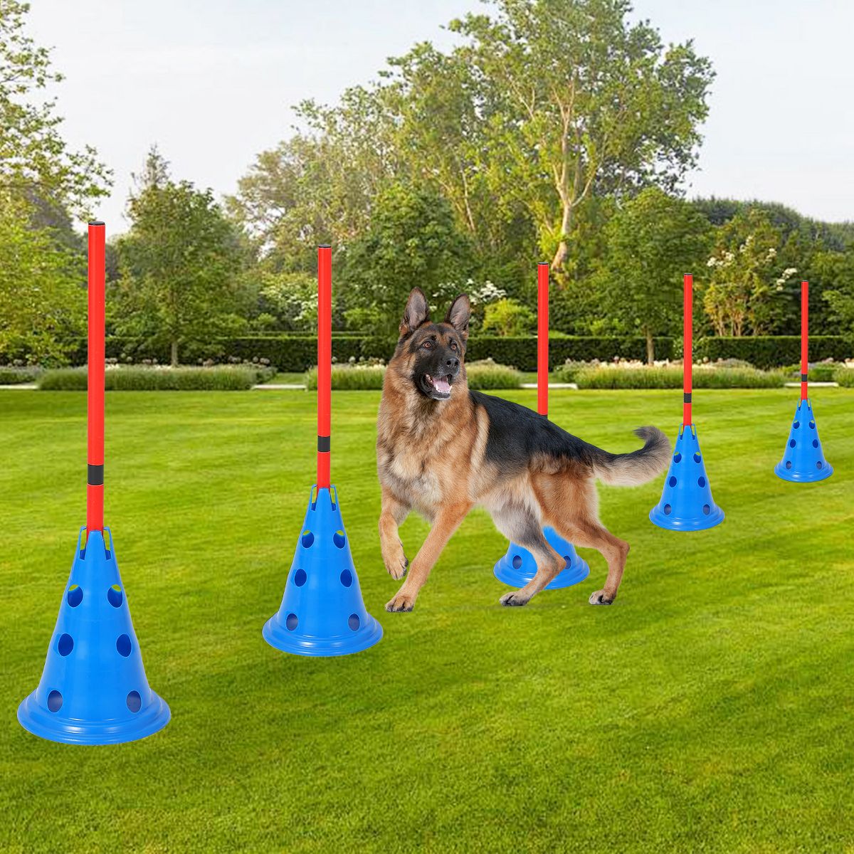 Dog Agility Hurdle Cone Set, Dog Agility Course Backyard Set Include 12 Cones & 6 Agility Rods, Dog Agility Training Equipment with Carry Bag - thumbnail 6