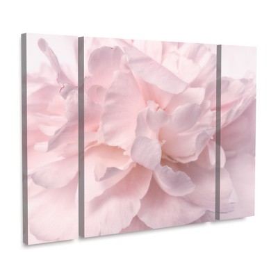 Trademark Fine Art -Cora Niele 'Pink Peony Petals II' Multi Panel Art Set Large 3 Piece