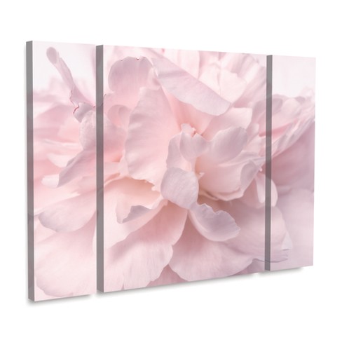 Trademark Fine Art -cora Niele 'pink Peony Petals Ii' Multi Panel Art ...