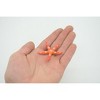 Collectible Wildlife Gifts | Starfish, Sea Star, Echinoderms,  Asteroidea, Ocean, Sea Life, Plastic ,  Animal, Life Like, Gift,   2 "   F931 B158 - 3 of 4
