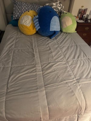 Guest review image 1 of 1, zoom in