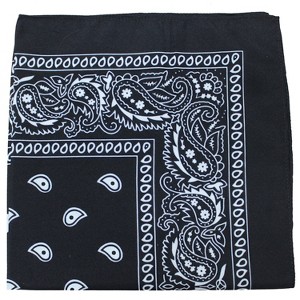 Paisley 100% Polyester Unisex Bandanas - 40 Pack - Bulk Wholesale - 1 of 4