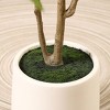 DR.Planzen 5-7FT Artificial Maple Tree with Round White Planter, Pre Potted Plant with Realistic Maple Leaves for Home Decor - 4 of 4