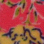 tiger and blue flowers