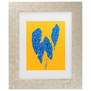 Trademark Fine Art - Francesco Gulina  Begonia Maculata Blue and Yellow Matted Framed Art - 1 of 4