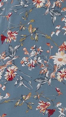 dusty blue-floral