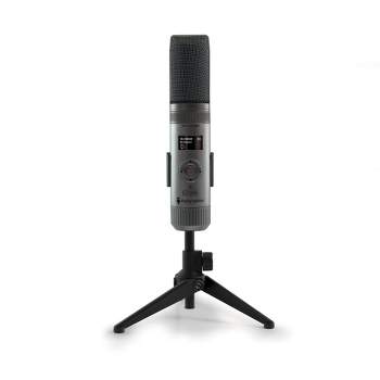 Microphone sans Fil Karaoké Micro sans Fil Professionnel Aluminium Alimenté  par 2 AA Piles Exclu 2 Micro HF à Main Portable