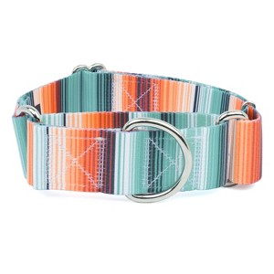 Country Brook Petz HossFit Jr Wide Martingale Dog Collar - Country and Western Collection - 1 of 4