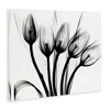 Stupell Industries Modern Tulip Blossom Abstract Monochrome Silhouette Photography, 30" x 40" - 3 of 4