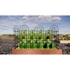 Dolonm 32" Tall 14-Panel Metal Garden Fence - 20.4ft Animal Barrier, Galvanized Rustproof, No Tools Movable Pet Fence for Yard - 3 of 4