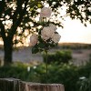 Floral Home 27" Cream Pink Rose Spray - 12-Piece - 4 of 4