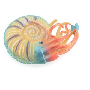Nautilus, Blue, Pelagic Marine Mollusk, Museum Quality, Hard Rubber, Hand Painted, Realistic Toy Figure, Model, Kids, Gifts,  4 Inches.  CH1046 BB218 - 1 of 4