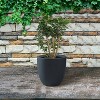Rosemead Home & Garden, Inc. Kante  Fiberglass and Concrete Indoor Planter Pots Black 16.54" x 16.54" x 15.35" - 2 of 3