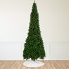 Northlight Pendleton Spruce Slim Artificial Christmas Tree - 16' - Unlit - image 2 of 4