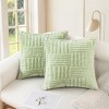 REGALWOVEN Striped Soft Decorative Throw Pillow Covers for Bed Sofa Living Room Farmhouse Home Decor 2 Pcs - 2 of 4