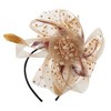 Unique Bargains Women's Feathers Headband 1 Set - 3 of 4