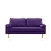 Maliang 65" Lovesat Velvet Sofa - 2 of 4