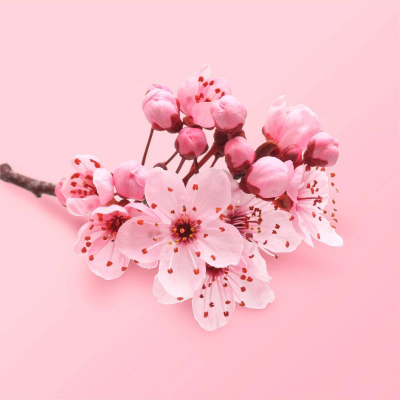 Beloved Cherry Blossom &#38; Tea Rose Body Scrub - 10oz, 6 of 13