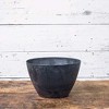 Novelty Indoor/Outdoor Artstone Napa Bowl Planter with Water-Minder - 2 of 4