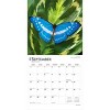 BrownTrout Butterflies 2026 12"x24" Hanging Square Wall Calendar Plastic-Free - 4 of 4