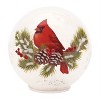 Lighted Nature-Inspired Cardinal Glass Globes for Christmas, Set of 2 by Melrose - 2 of 4