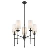 Z-Lite Emily 5 - Light Chandelier in  Matte Black - 2 of 4