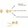 Yellow Gold Ball Stud Earrings with Secure Screw - Backs - 4 of 4