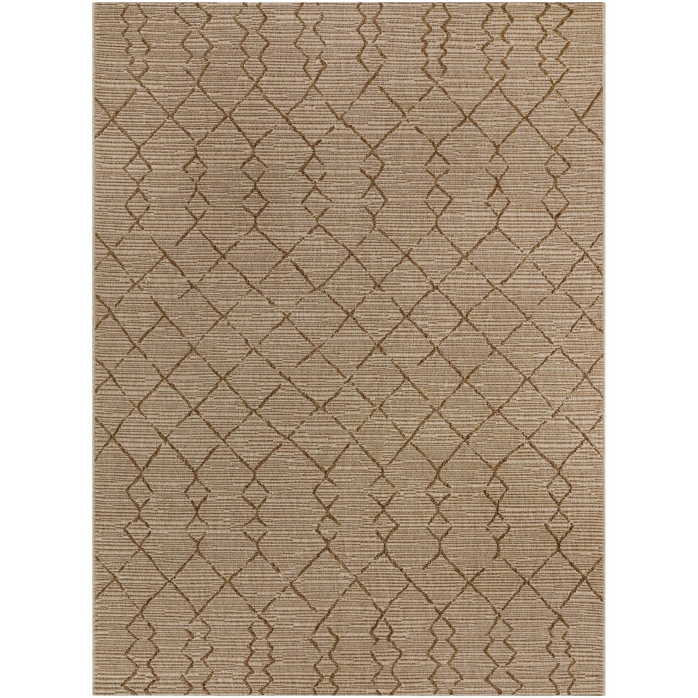 7'x10' Diamond Global Coastal Outdoor Rug Brown - Project 62™