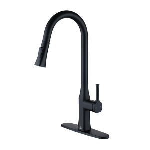 CASAINC Single Handle Kitchen Faucet - 1 of 4