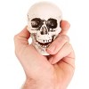 HalloweenCostumes.com  Set of 24 Mini Skull Prop Decorations | Realistic 4-Inch Plastic Skulls with Movable Jaws, Yellow - 3 of 4