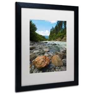 Trademark Fine Art -Philippe Sainte-Laudy 'Isolated' Matted Framed Art - 1 of 4