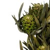 Vickerman 12" Green Salignum, Female, 7 oz Bundle, Preserved - 4 of 4