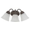 Yosemite Home Decor JH053-3DB Series Three Light Vanity, 17-Inch, Dark Brown Frame, 25 Piece - 2 of 4