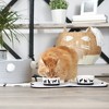 Bone Dry Pet Bowl - Set/2 - 3 of 4